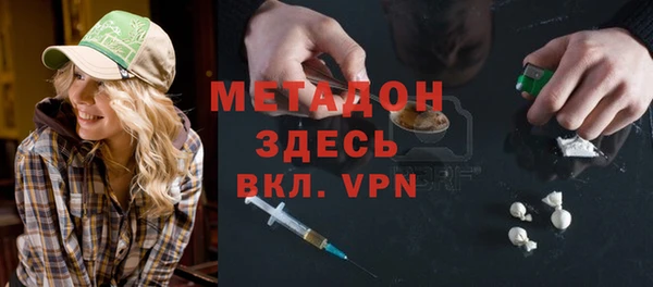 сатива Корсаков