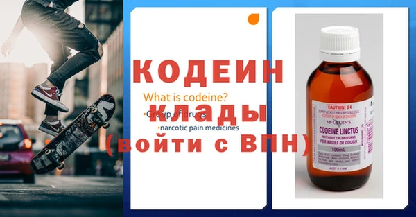 сатива Корсаков