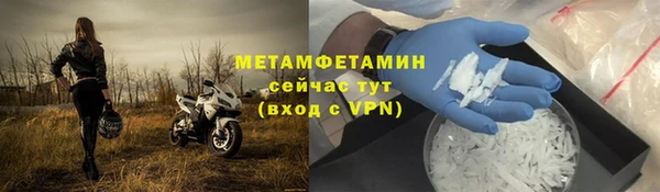 сатива Корсаков