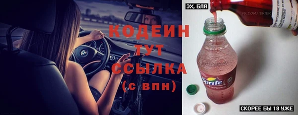 сатива Корсаков