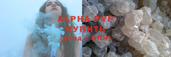 сатива Корсаков