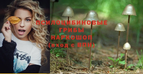сатива Корсаков