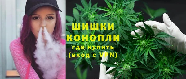 сатива Корсаков